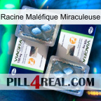Racine Maléfique Miraculeuse viagra5